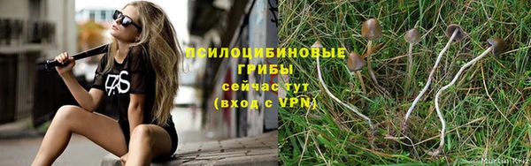 меф Армянск