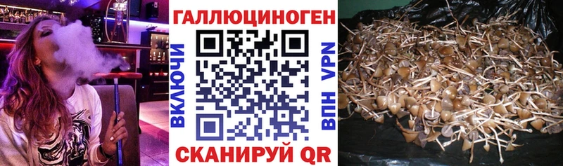 Псилоцибиновые грибы мицелий  мега ссылка  Ахтубинск 